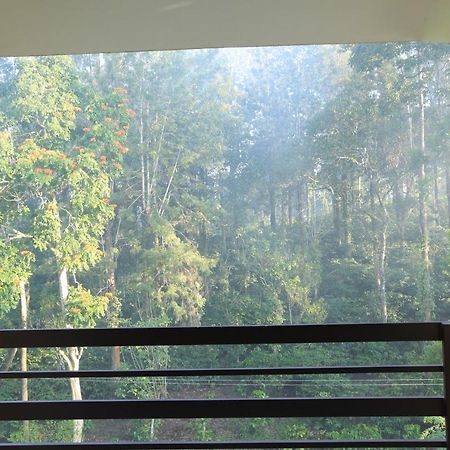 Aditi Thekkady Bagian luar foto