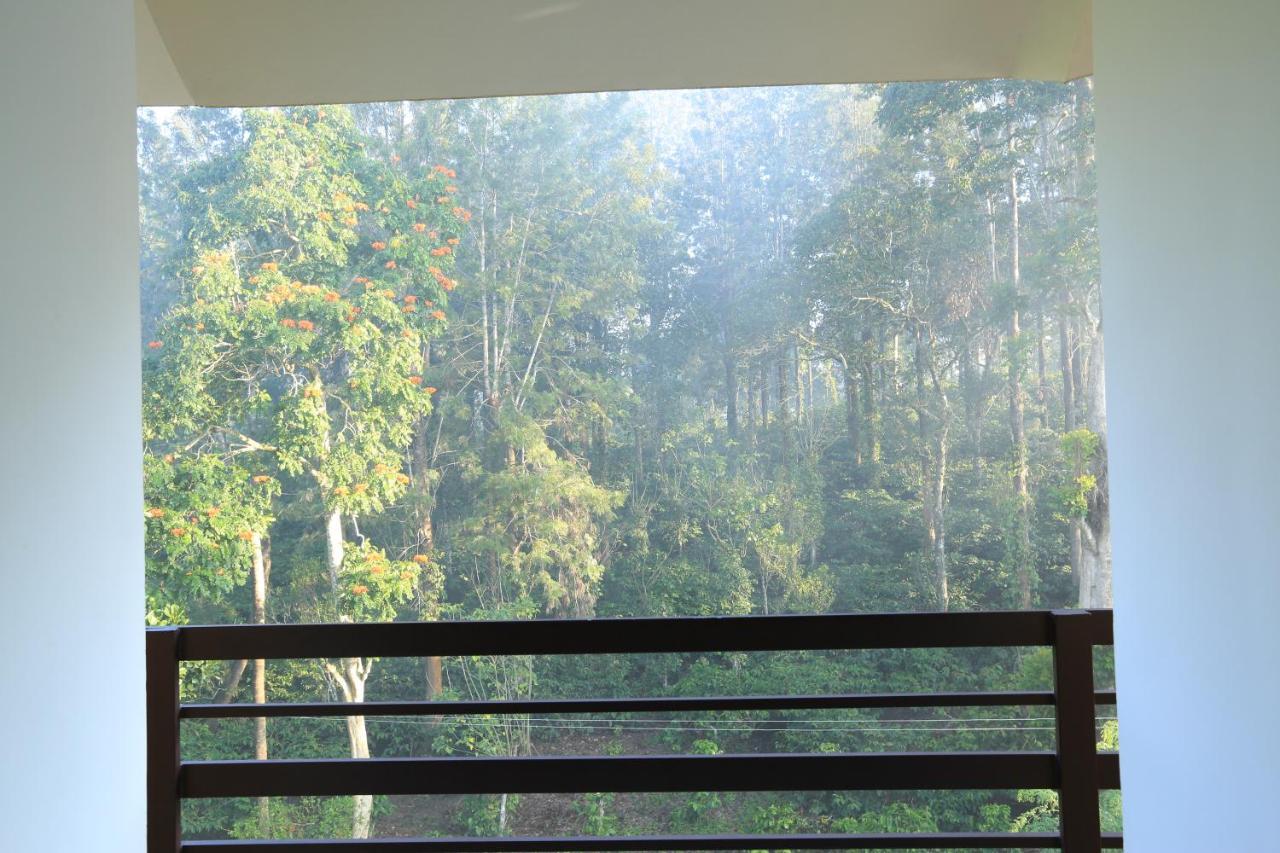 Aditi Thekkady Bagian luar foto