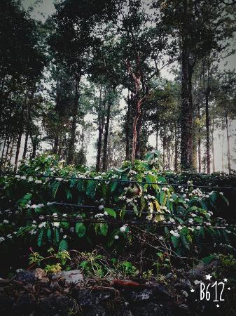 Aditi Thekkady Bagian luar foto