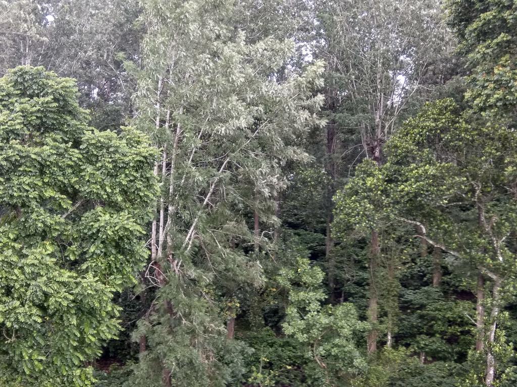Aditi Thekkady Bagian luar foto