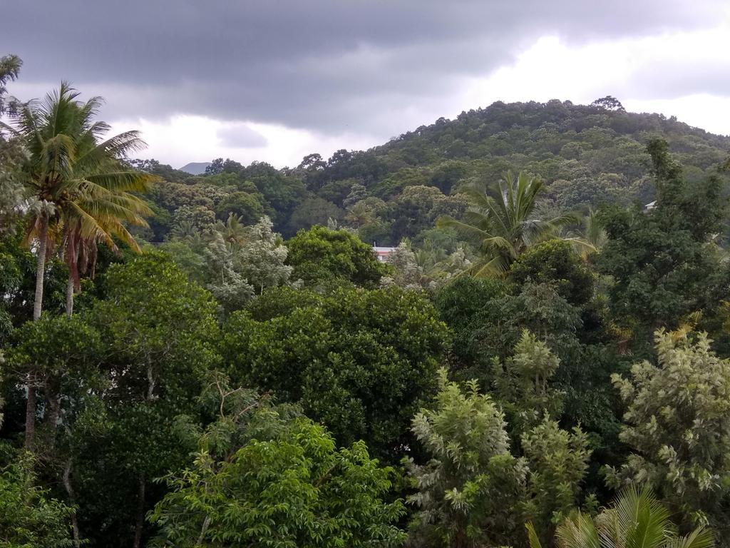 Aditi Thekkady Bagian luar foto